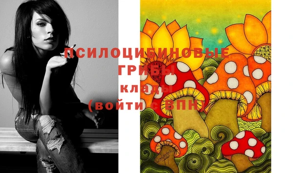 MESCALINE Заводоуковск